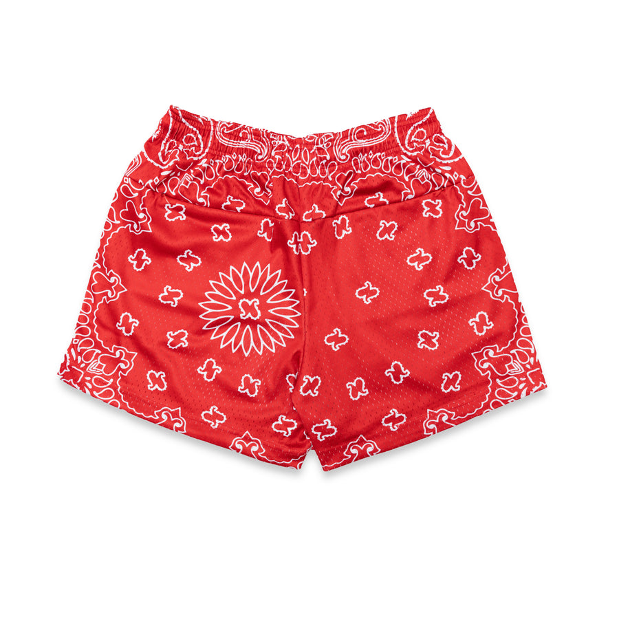Monogram Paisley Mesh Shorts (Red)